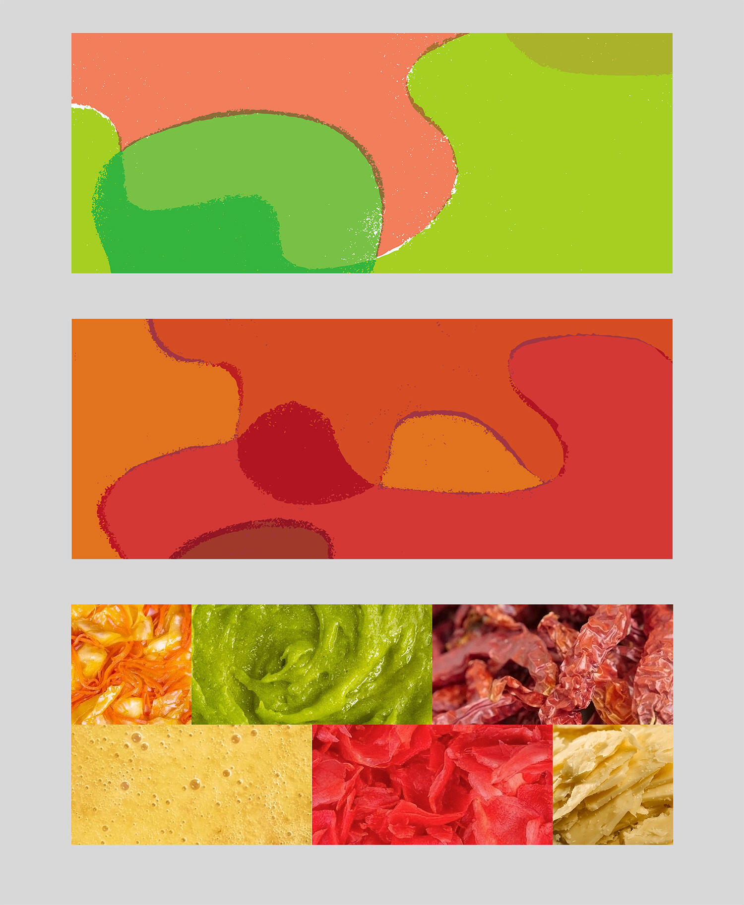 Couleurs et textures inspirées par la richesse visuelle des aliments fermentés.